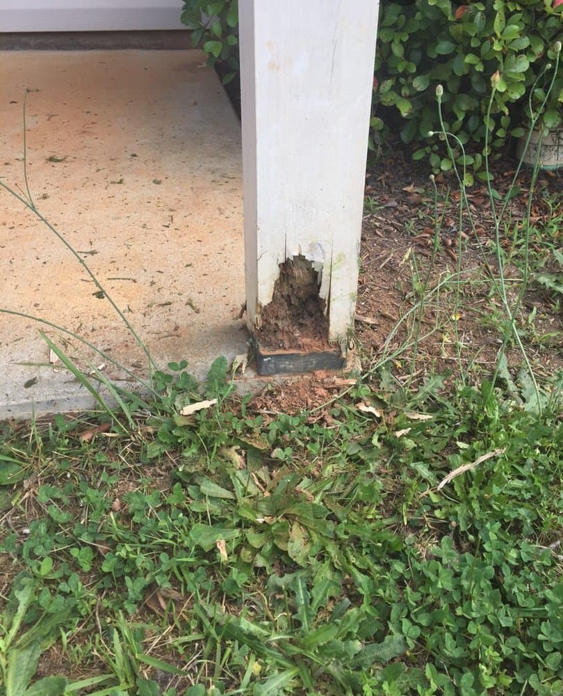 Termite damage at the base of a white wooden porch post, showing hollowed wood and debris